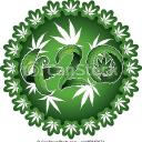 Buy weed online