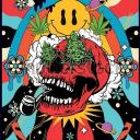 Cannabis & psychedelic Community