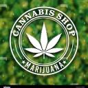 medical marijuana and psychedelics highZone