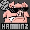 The Ham Fam
