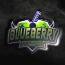 BlueBerry Gaming Community