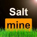 The Scandinavian Salt Mine