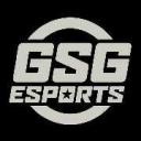 GSG E-Sports