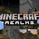 The Minecraft Realm