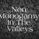 Non-Monogamy in the Valleys