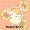 The Playhouse 18+