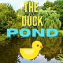 The Duck pond