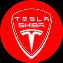 Tesla Shiba