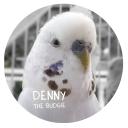 Denny's Nest